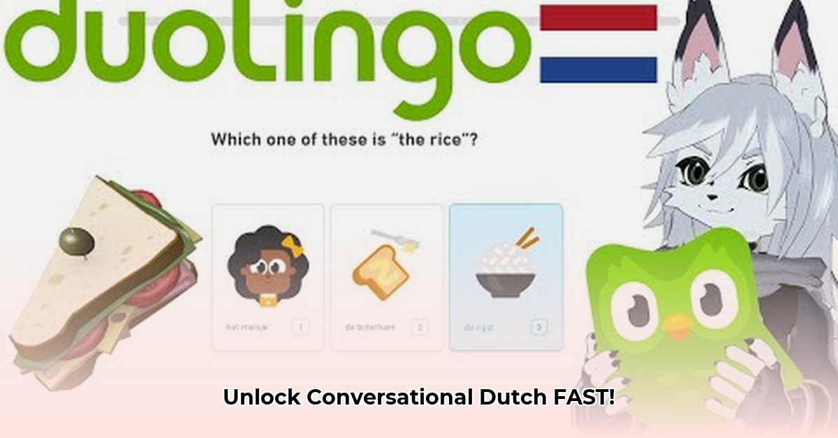 duolingo-dutch